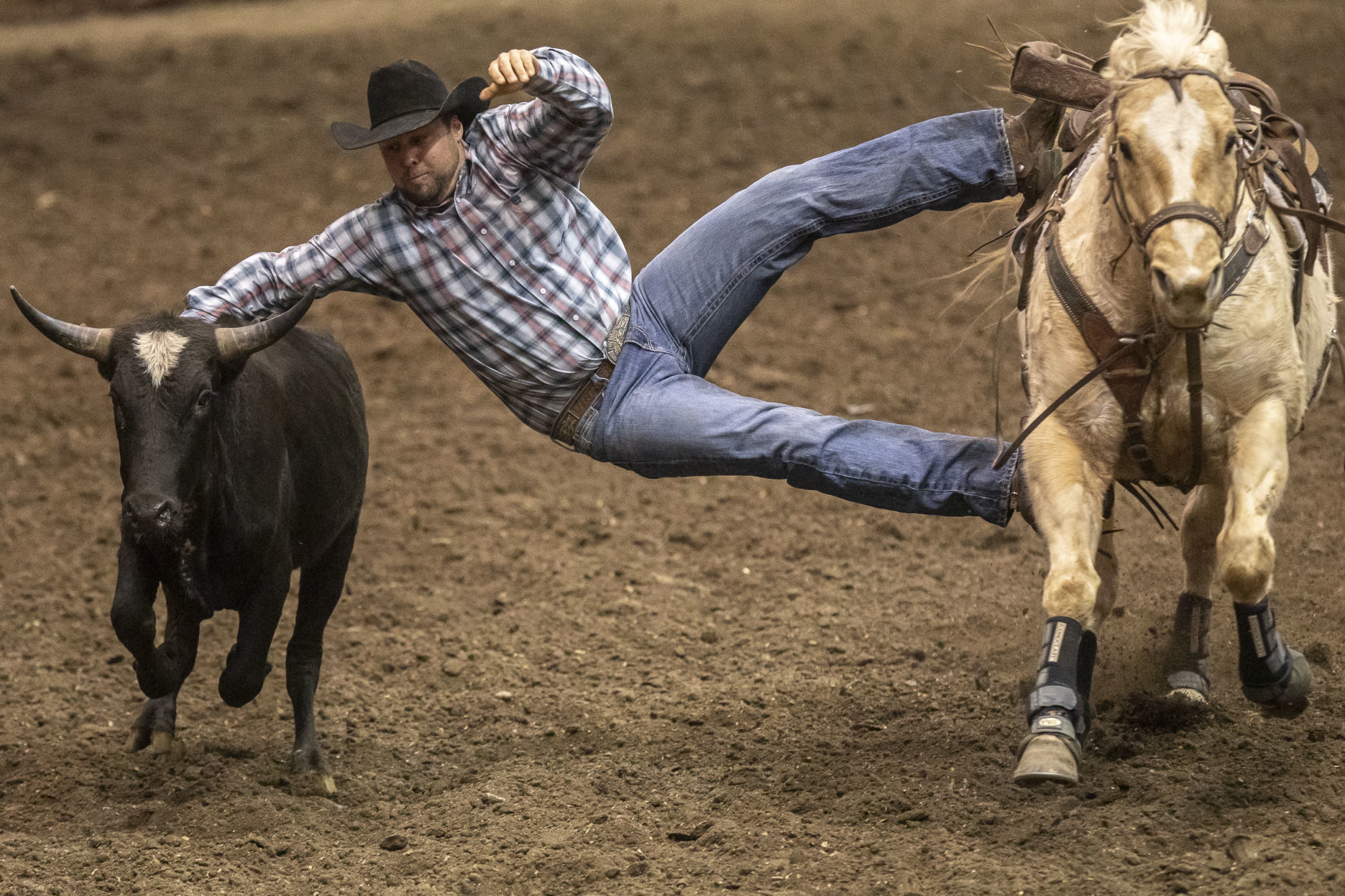 Rodeo Rapid City